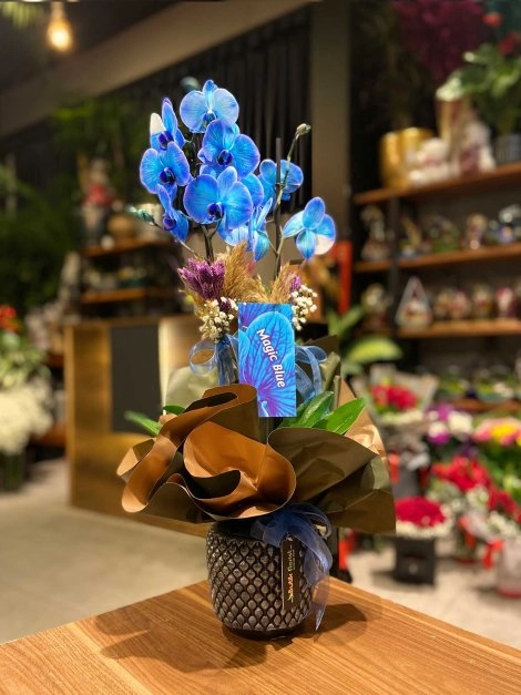 Erkeğe Hangi Çiçek Alınır