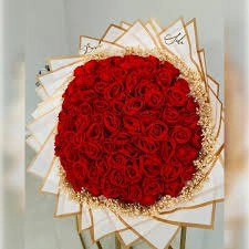 Kırmızı Gül Anlamı