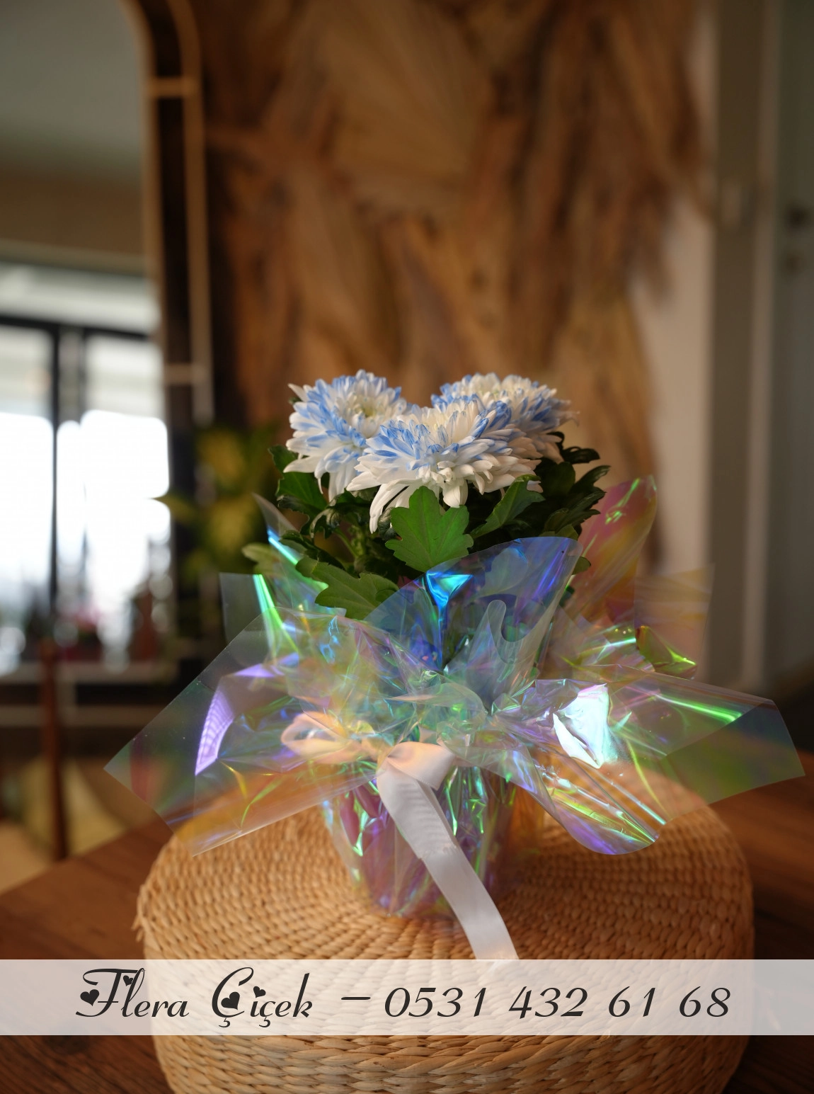 Beyaz - Mavi Anastasia