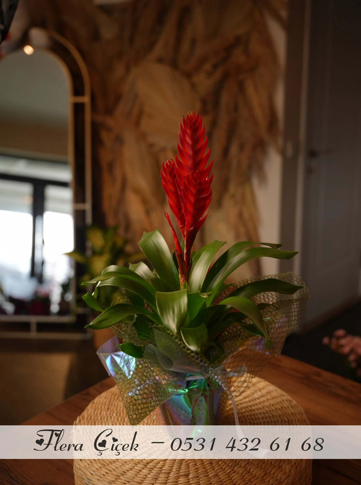 Bromelium