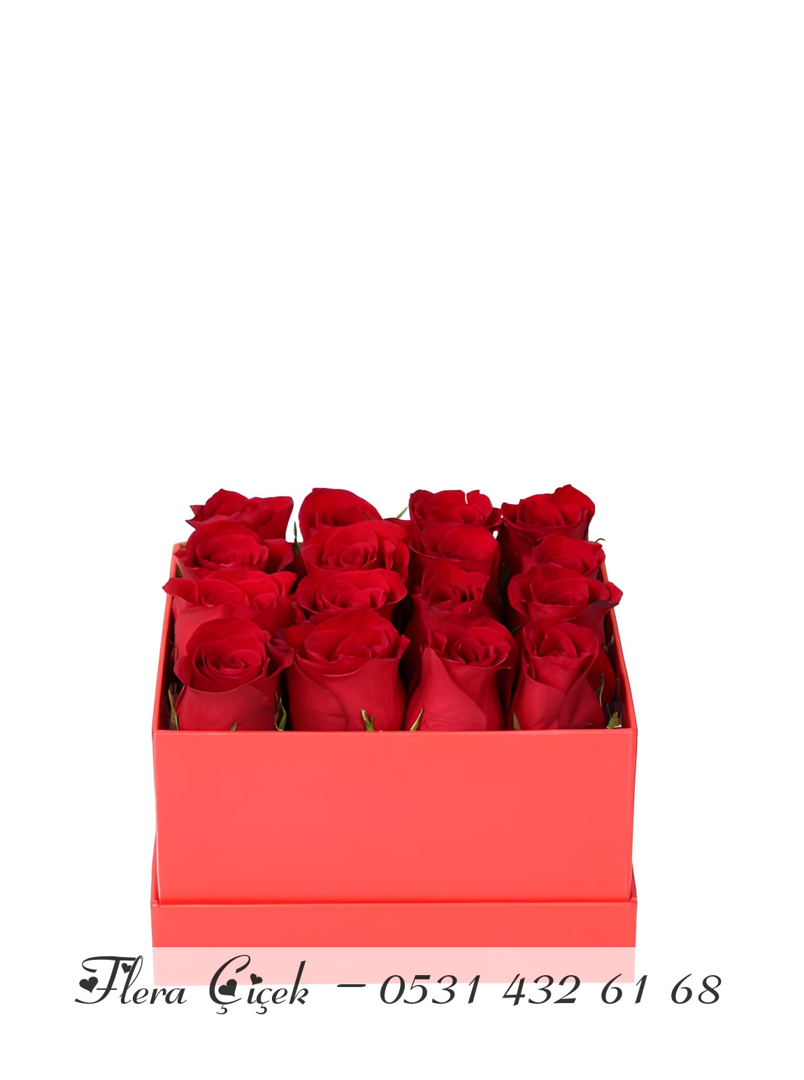 Kırmızı Kutuda 16 Tane Gül