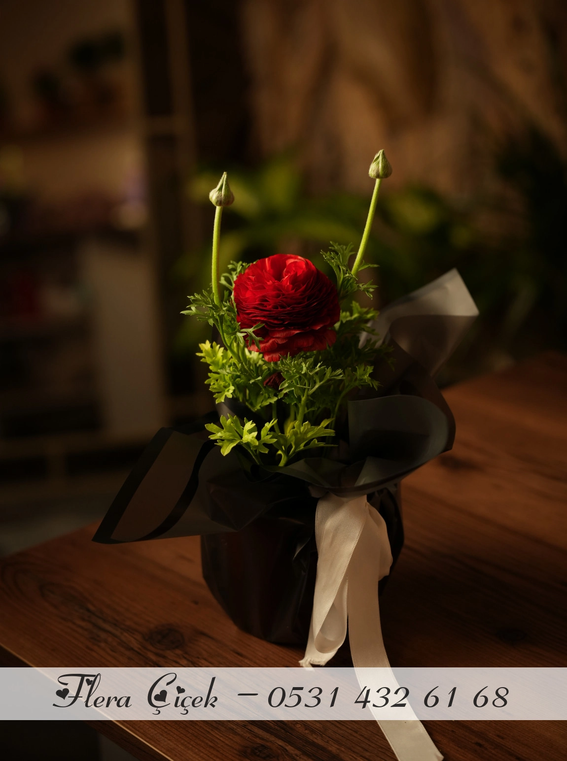 Şakayık Kırmızı