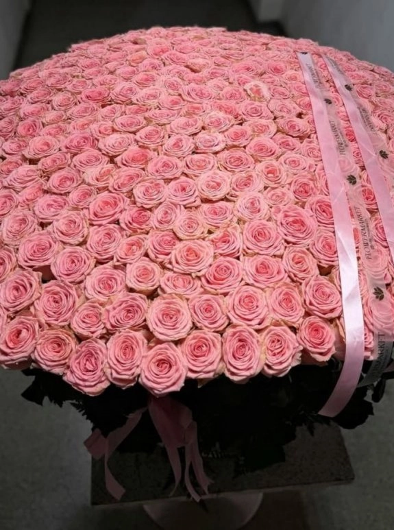 300 Premium Pembe Gül