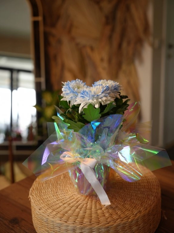 Beyaz - Mavi Anastasia