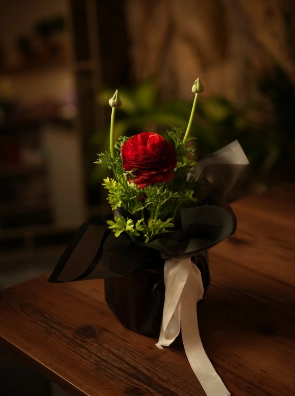 Şakayık Kırmızı